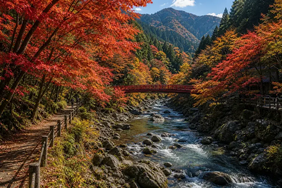 川越・奧多摩(延伸)
