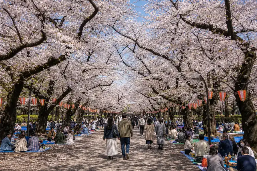 上野恩賜公園(上野公園)
