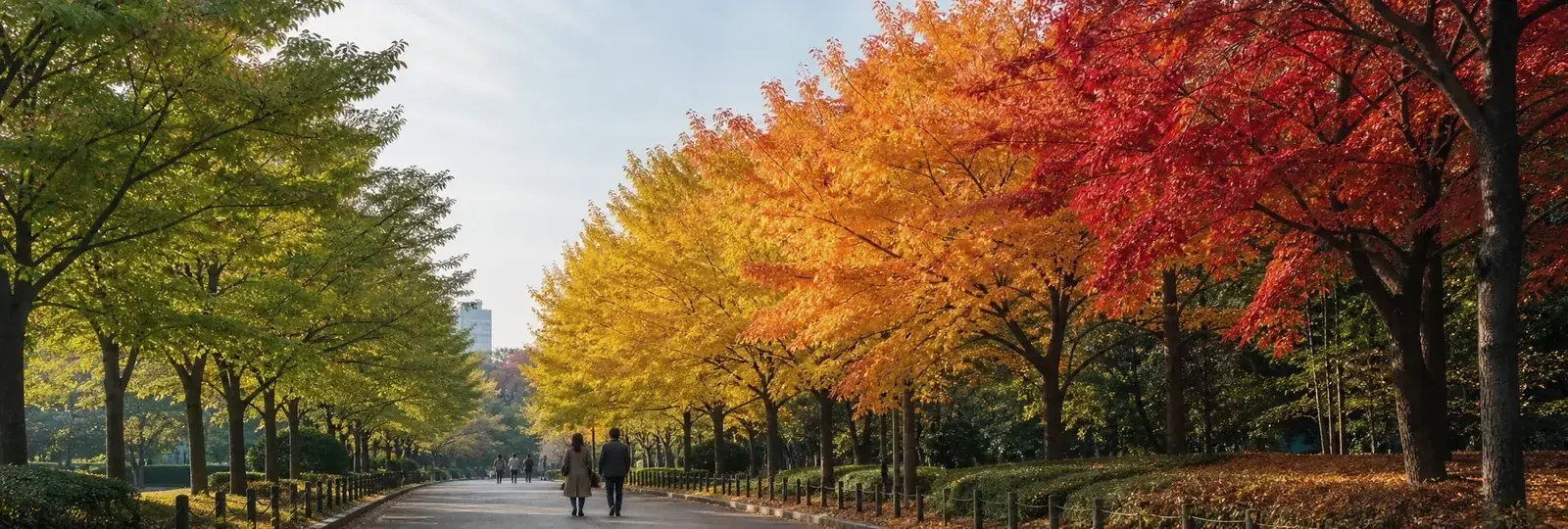 紅葉前線與時期