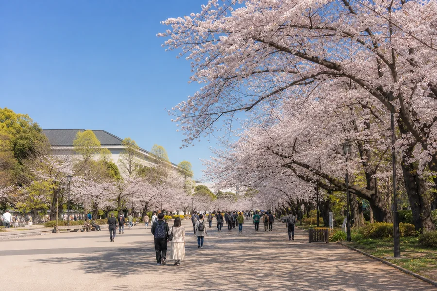 上野恩賜公園(上野公園)