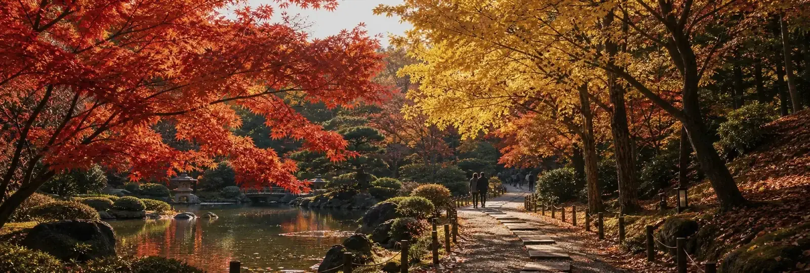 東京賞楓名所
