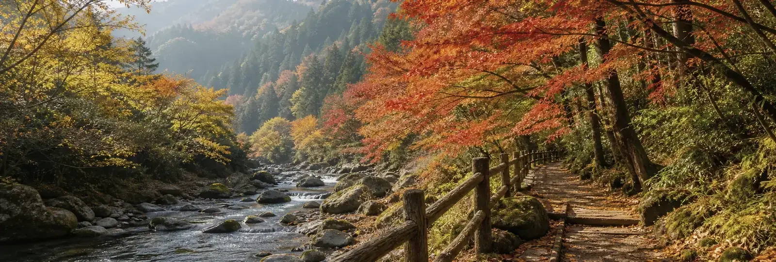 近郊賞楓