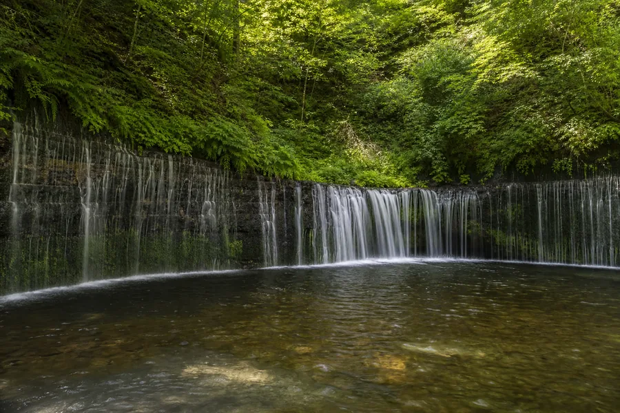 白絲瀑布(白糸の滝)