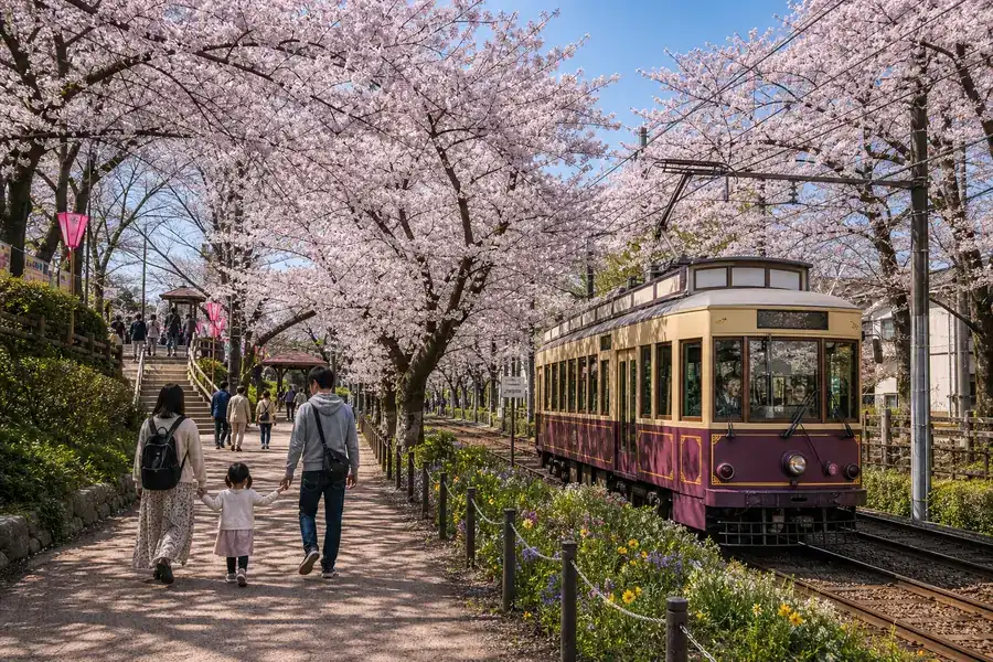 飛鳥山公園 |叮叮車進站、歷史感×親子
