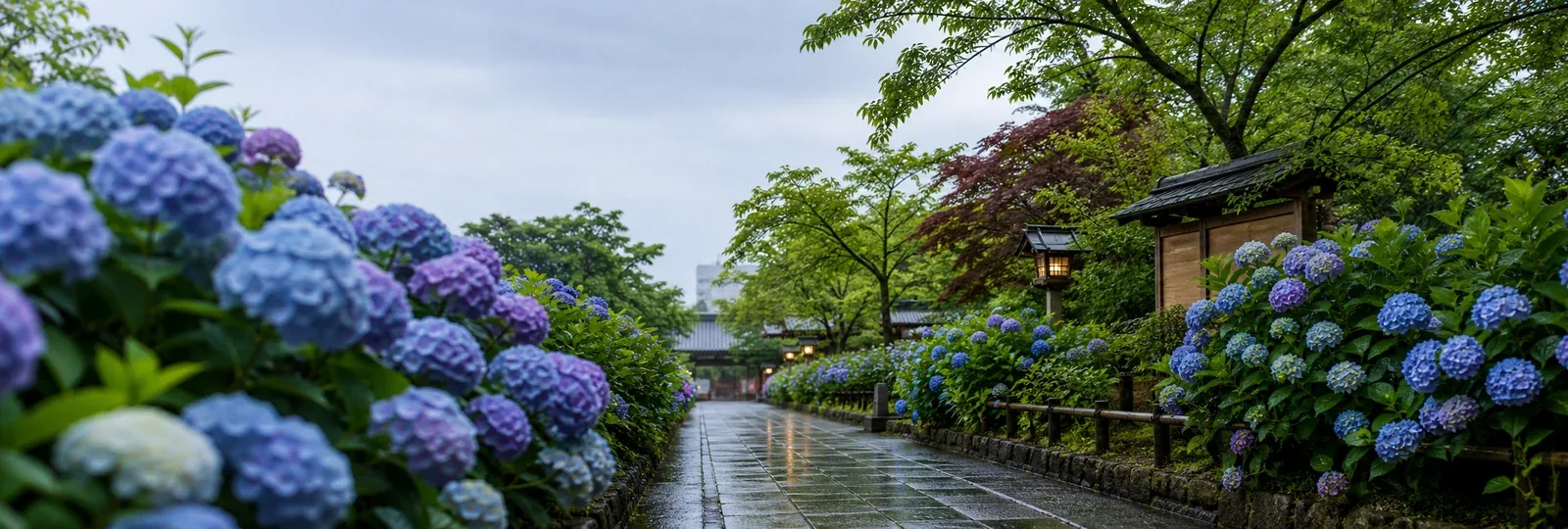 6月 — 梅雨・繡球花・山王祭